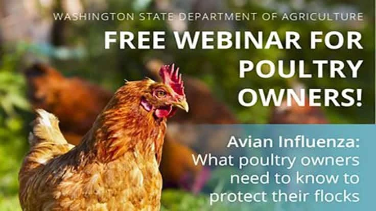 Avian Influenza Webinar