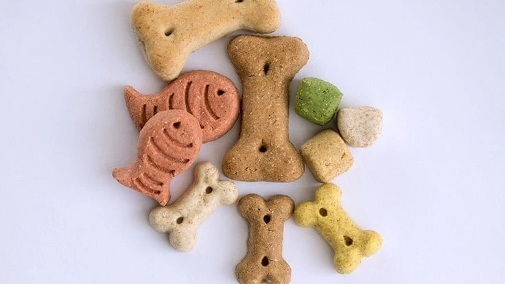 Pet Treats